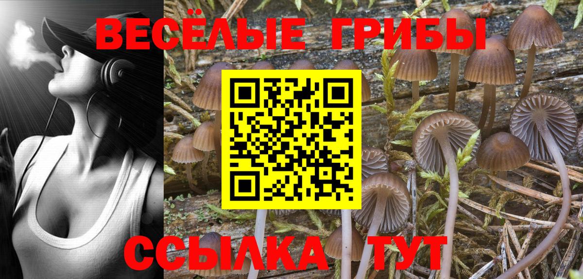 Жигулёвск  Галлюциногенные грибы GOLDEN TEACHER  Вход с VPN 